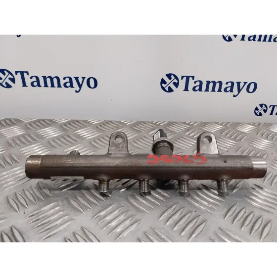 Rampa Inyectora para Renault Megane Iii Berlina 5 P