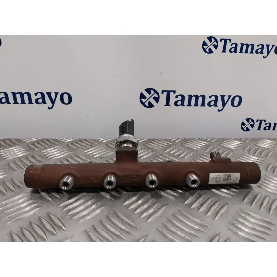 Rampa Inyectora para Renault Megane Iii Berlina 5 P