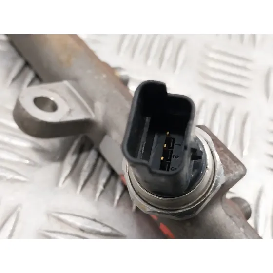 Rampa Inyectora para Renault Megane Iii Berlina 5 P