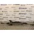 Cremallera Direccion para Ford Focus Berlina (Cap)