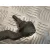 Cremallera Direccion para Ford Focus Berlina (Cap)