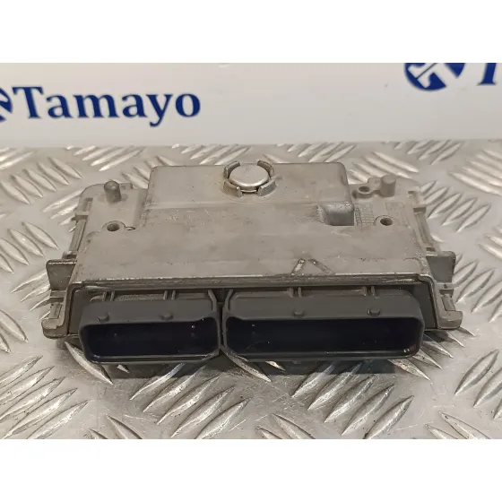 Centralita Motor Uce para Seat Ibiza (6J5)