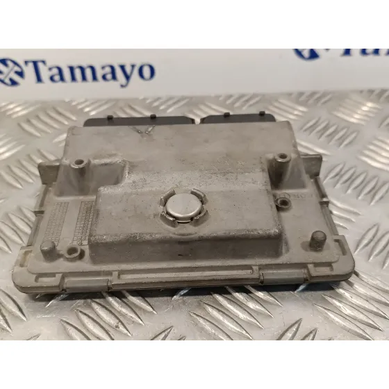 Centralita Motor Uce para Seat Ibiza (6J5)