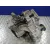 Caja Cambios para Audi A3 (8L)