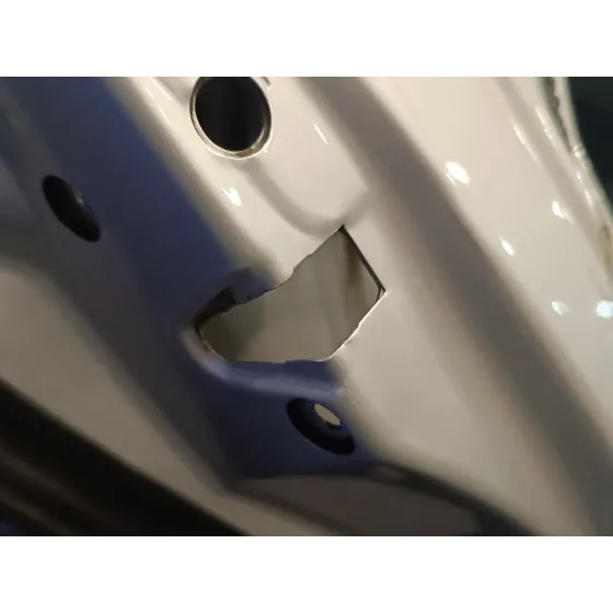 Puerta Trasera Izquierda para Seat Toledo (1M2)