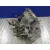 Caja Cambios para Renault Megane Ii Coupe/Cabrio