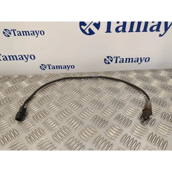 Sonda Lambda para Kia Picanto (Ja)