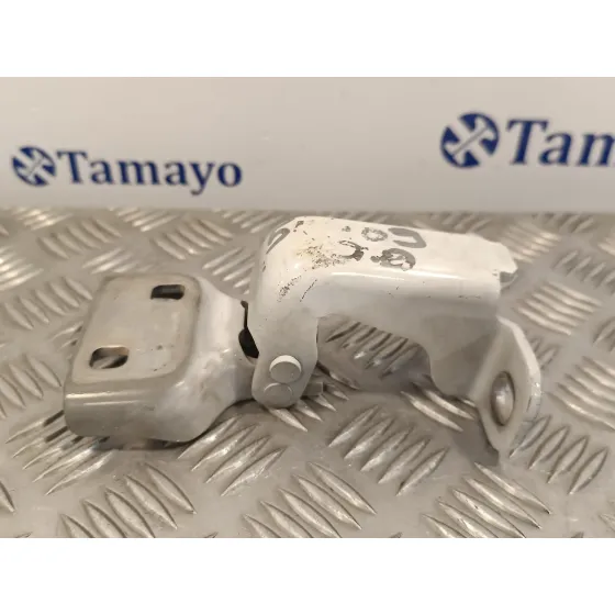 Visagra Puerta para Renault Trafic Furgon