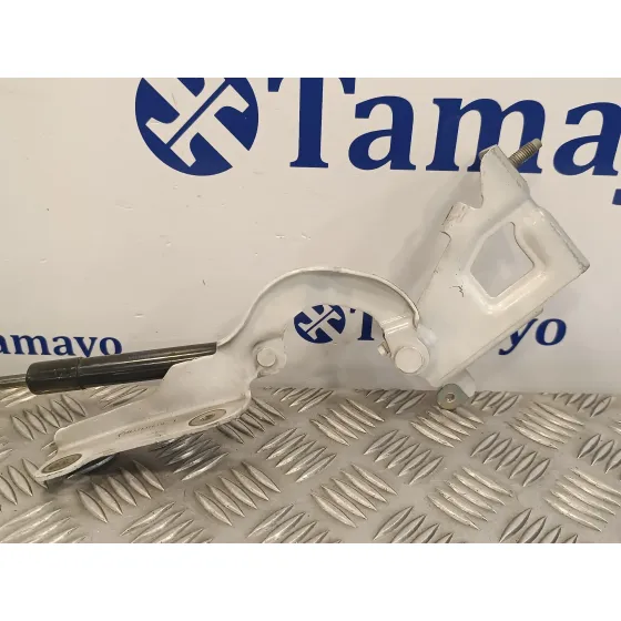 Visagra Puerta para Renault Trafic Furgon