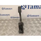 Pedal Acelerador para Ford Focus Turn.