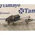 Motor Limpia Delantero para Toyota Aygo (Kgb/Wnb)
