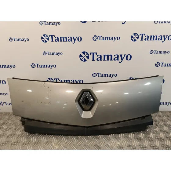 Rejilla Delantera para Renault Kangoo