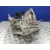 Caja Cambios para Renault Laguna Iii