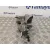 Soporte Alternador para Seat Altea Xl (5P5)