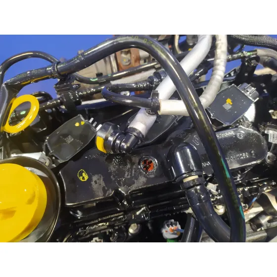 Motor Completo para Dacia Sandero