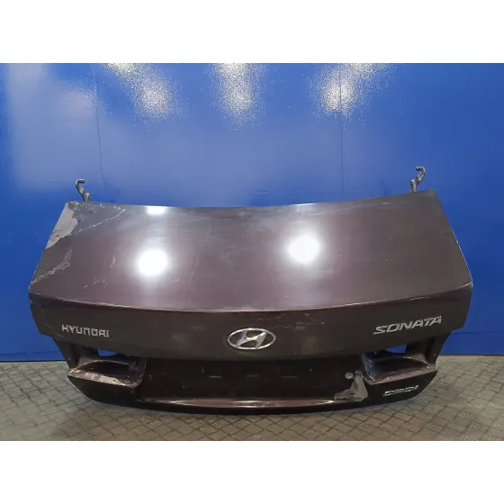 Porton Trasero para Hyundai Sonata (Nf)
