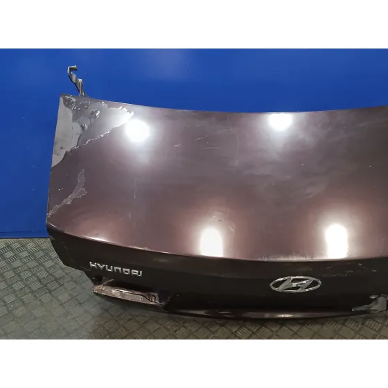 Porton Trasero para Hyundai Sonata (Nf)
