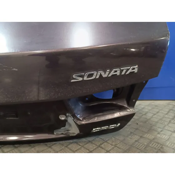 Porton Trasero para Hyundai Sonata (Nf)