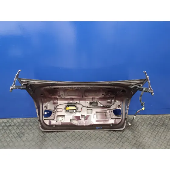 Porton Trasero para Hyundai Sonata (Nf)