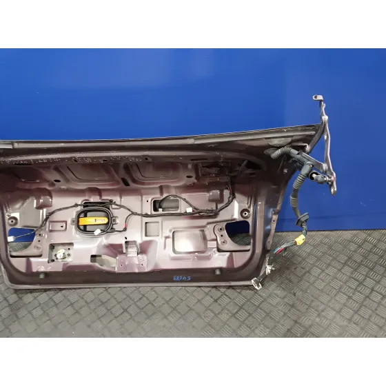 Porton Trasero para Hyundai Sonata (Nf)