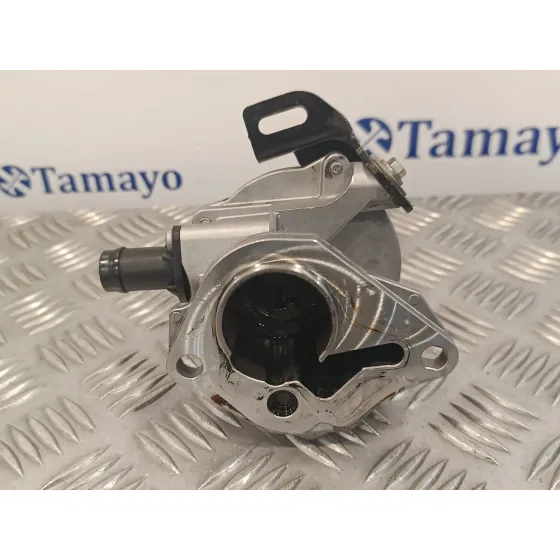 Depresor Freno / Bomba Vacio para Renault Scenic Iii