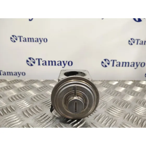 Valvula Egr para Bmw X3 (E83)