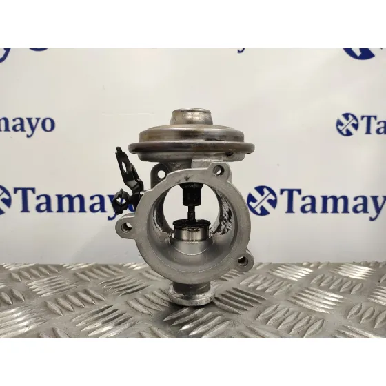 Valvula Egr para Bmw X3 (E83)