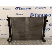 Radiador Agua para Dacia Sandero
