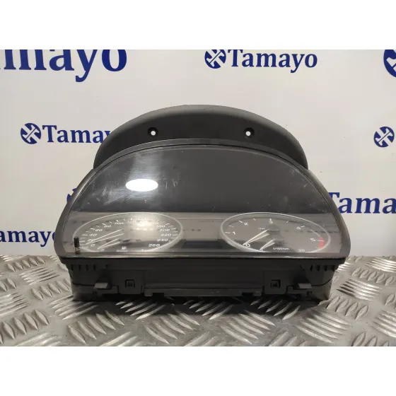 Cuadro Instrumentos para Bmw Serie 3 Touring (E91)