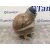 Deposito Expansion para Seat Alhambra (7V9)