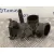 Tubo para Volkswagen Golf V Berlina (1K1)
