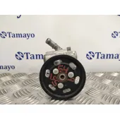 Bomba Servodireccion para Dacia Sandero
