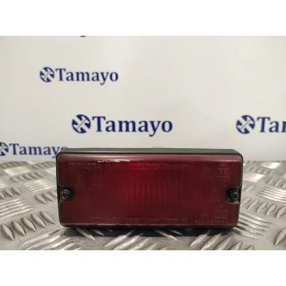 Piloto Trasero Izquierdo Porton para Toyota Rav 4 (A2)
