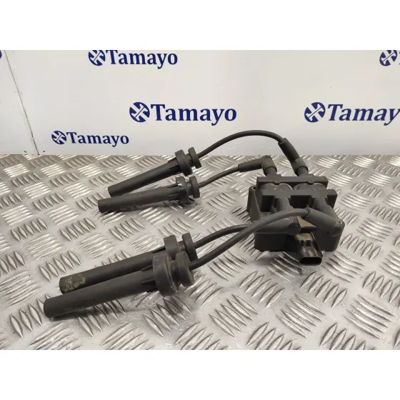 Bobina Encendido para Chrysler Voyager (Rg)