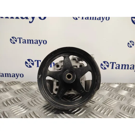 Bomba Direccion para Jaguar X-Type