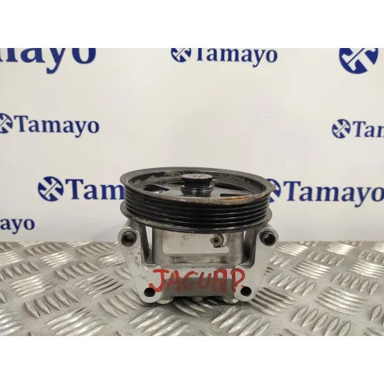 Bomba Direccion para Jaguar X-Type