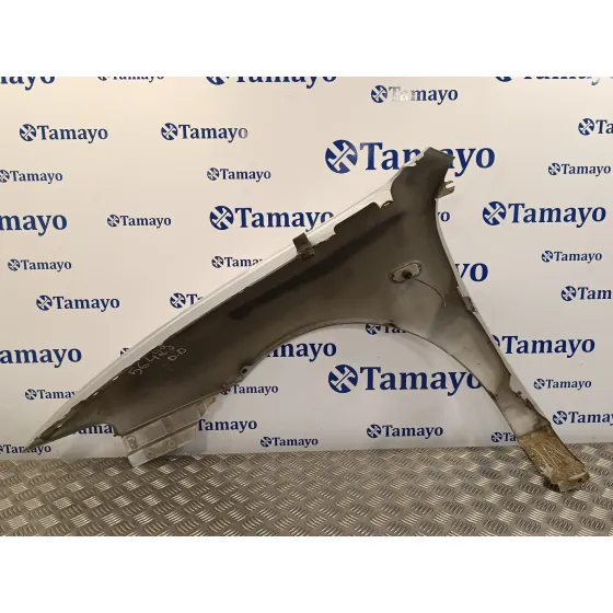 Aleta Delantera Derecha para Seat Toledo (1M2)