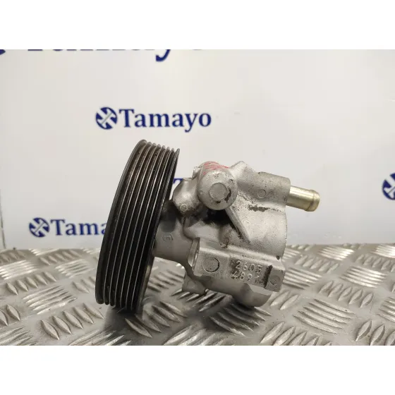 Bomba Direccion para Renault Laguna Ii (Bg0)