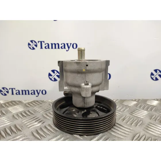 Bomba Direccion para Renault Laguna Ii (Bg0)