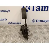 Pedal Acelerador para Renault Clio Iii