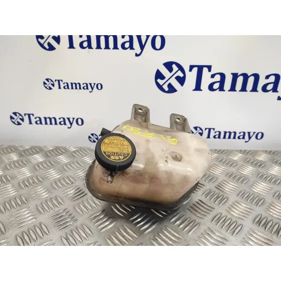 Deposito Expansion para Toyota Rav 4 (A2)