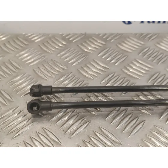 Amortiguadores Maletero / Porton para Citroën C4 Grand Picasso