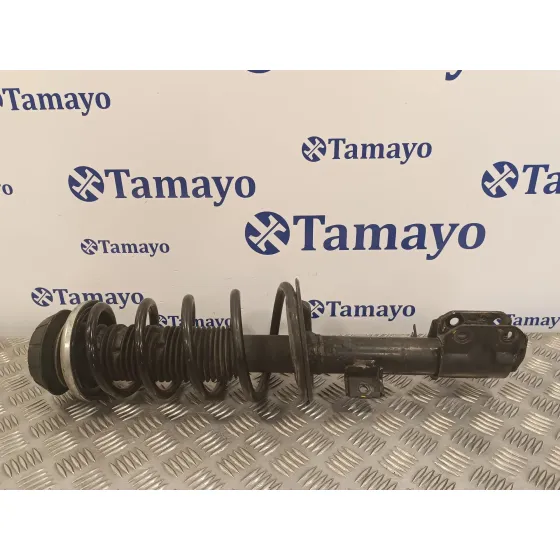 Amortiguador Delantero Derecho para Suzuki Sx4 Rw (Ey)