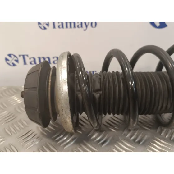 Amortiguador Delantero Derecho para Suzuki Sx4 Rw (Ey)