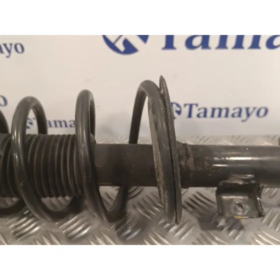 Amortiguador Delantero Derecho para Suzuki Sx4 Rw (Ey)