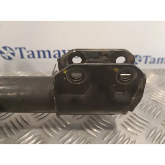 Amortiguador Delantero Derecho para Suzuki Sx4 Rw (Ey)