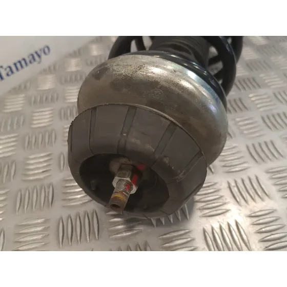 Amortiguador Delantero Derecho para Suzuki Sx4 Rw (Ey)