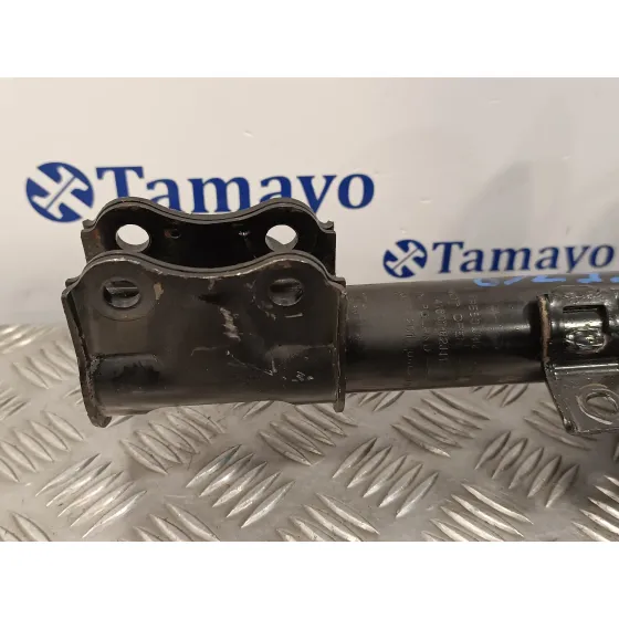 Amortiguador Delantero Derecho para Suzuki Swift Berlina (Mz)