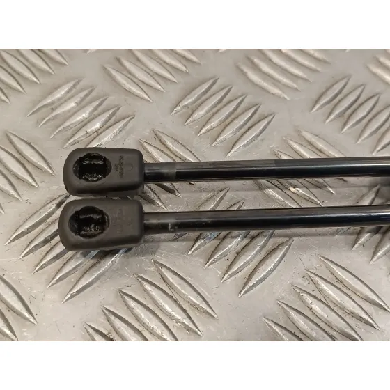 Amortiguadores Maletero / Porton para Mercedes-Benz Clase Slk (W171) Roadster