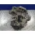 Caja Cambios para Seat Ibiza (6J5)